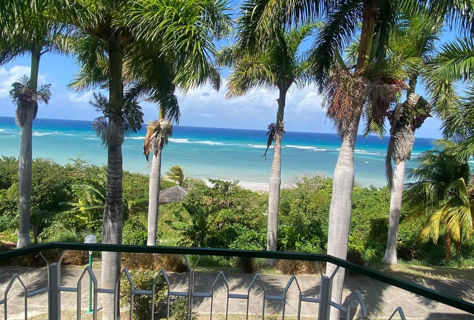 Апартаменты Ocean View At Sea Castles Бухта Монтего Ямайка